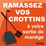 Panneau "Ramassez vos crottins à votre sortie de manège" - orange