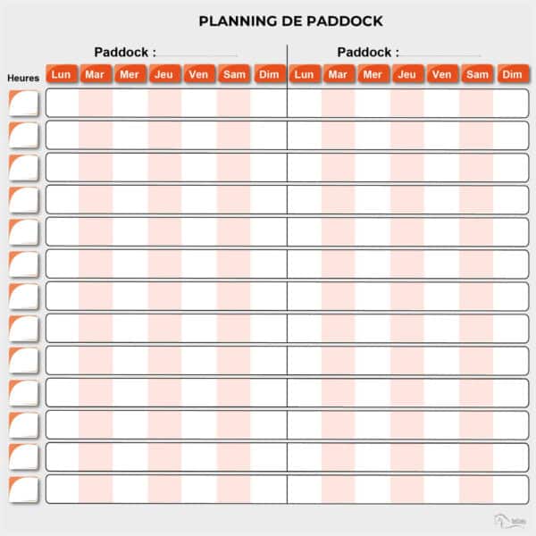 Planning de paddock - Orange