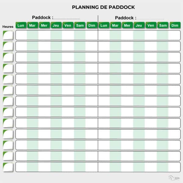 Planning de paddock - Vert