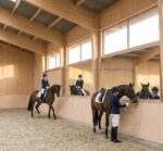 miroir de manege variante1