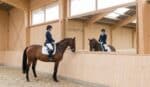 miroir equestre