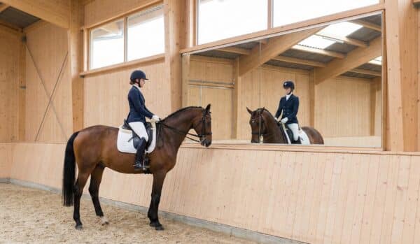 miroir-equestre