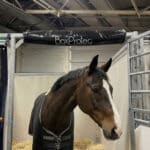 Protection de tête en mousse