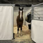 Protection de tête en mousse