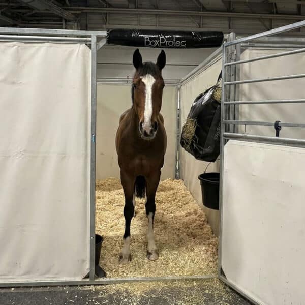 Protection de tête en mousse