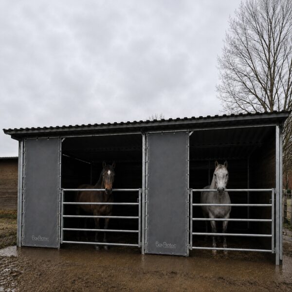 Tenture de box sur mesure – abri double, pose en hauteur Tentures de box sur mesure BoxProtec en hauteur sur un abri double, deux chevaux protégés du vent derrière les barrières