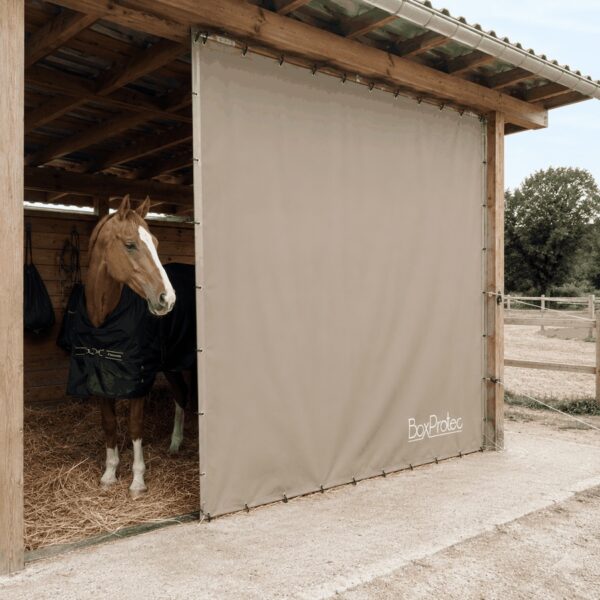 Tenture de box sur mesure – box terrasse sur paddock Tenture de box sur mesure beige BoxProtec sur un box terrasse, cheval à l'abri avec entrée libre vers le paddock