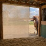 Tenture de box sur mesure – entrée libre vers le paddock