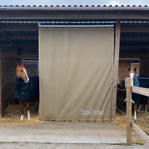 Tenture de box sur mesure BoxProtec – photo produit principale Tenture de box sur mesure beige BoxProtec de face entre deux box extérieurs, chevaux à l'abri de chaque côté